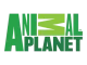 Animal-Planet